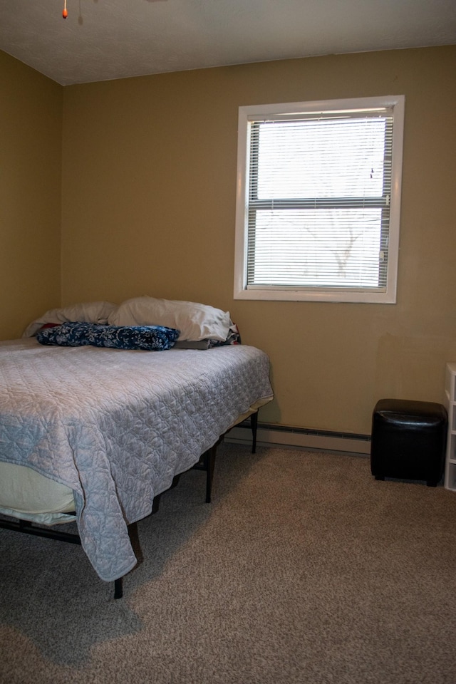 169 Wyndotte Way, Ledbetter, KY 42058 - carpeted bedroom featuring multiple windows and a baseboard heating unit
