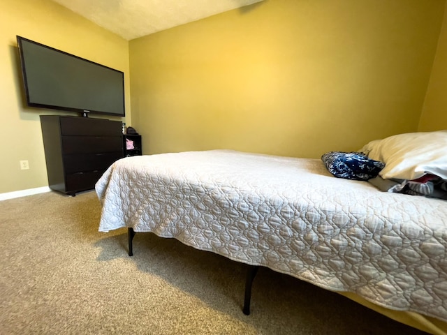 169 Wyndotte Way, Ledbetter, KY 42058 - bedroom featuring carpet flooring and baseboards