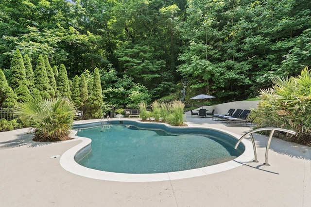 31 Annandale, Nashville, TN 37215 - photo 66