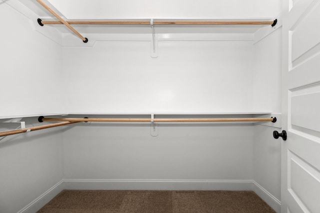514 Rohan Dr, Murfreesboro, TN 37129 - walk in closet featuring carpet