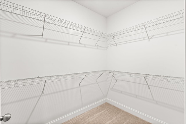 604 Douglas St, Lebanon, TN 37087 - spacious closet featuring light carpet