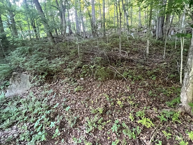 3507 Shadowbend Ln, Clarksville, TN 37043