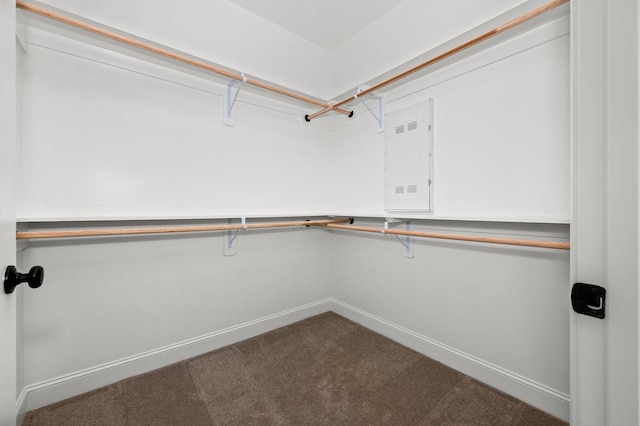 516 Rohan Dr, Murfreesboro, TN 37129 - spacious closet with dark carpet and electric panel