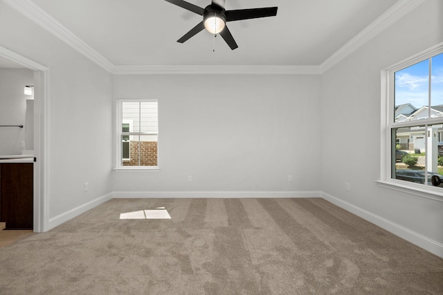 516 Rohan Dr, Murfreesboro, TN 37129 - empty room with plenty of natural light, ornamental molding, carpet floors, and ceiling fan