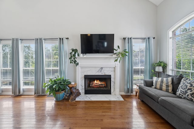 131 E Robertson Rd, Castalian Springs, TN 37031 - living room with hardwood / wood-style floors, a towering ceiling, and a premium fireplace