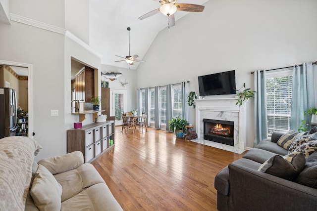 131 E Robertson Rd, Castalian Springs, TN 37031 - living area featuring a ceiling fan, a high end fireplace, light wood finished floors, and high vaulted ceiling