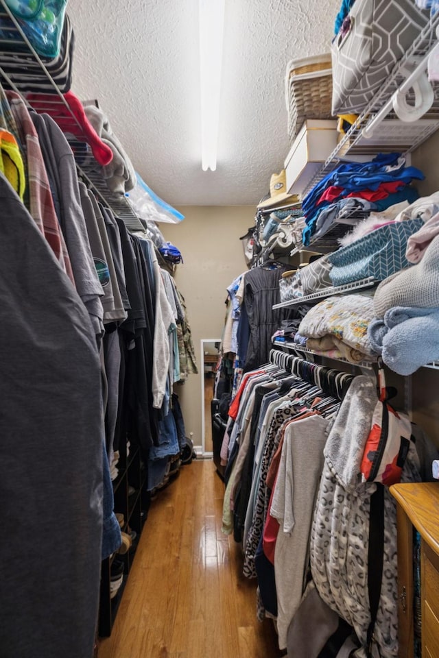 131 E Robertson Rd, Castalian Springs, TN 37031 - spacious closet with wood-type flooring