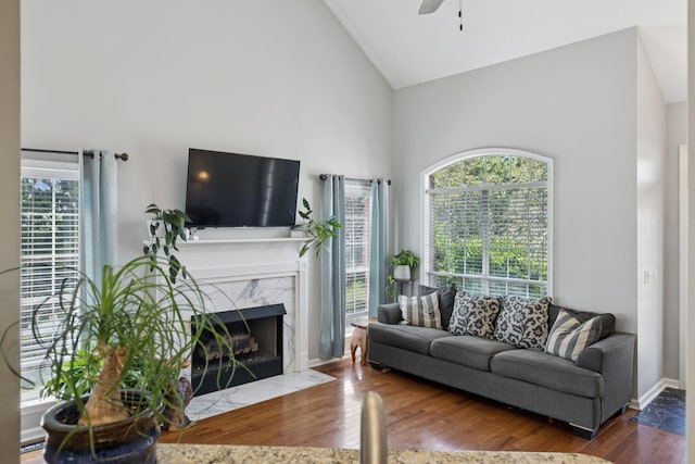 131 E Robertson Rd, Castalian Springs, TN 37031 - living room with high vaulted ceiling, wood finished floors, a ceiling fan, and a fireplace