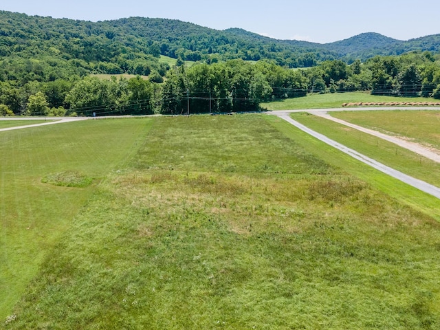 0 Greenvale Rd, Watertown, TN 37184 - photo 5