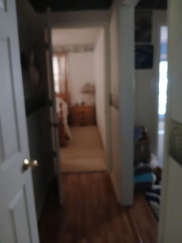 197 Stigall St, Camden, TN 38320 - corridor with wood finished floors