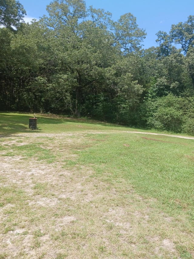 197 Stigall St, Camden, TN 38320 - view of green lawn featuring a view of trees