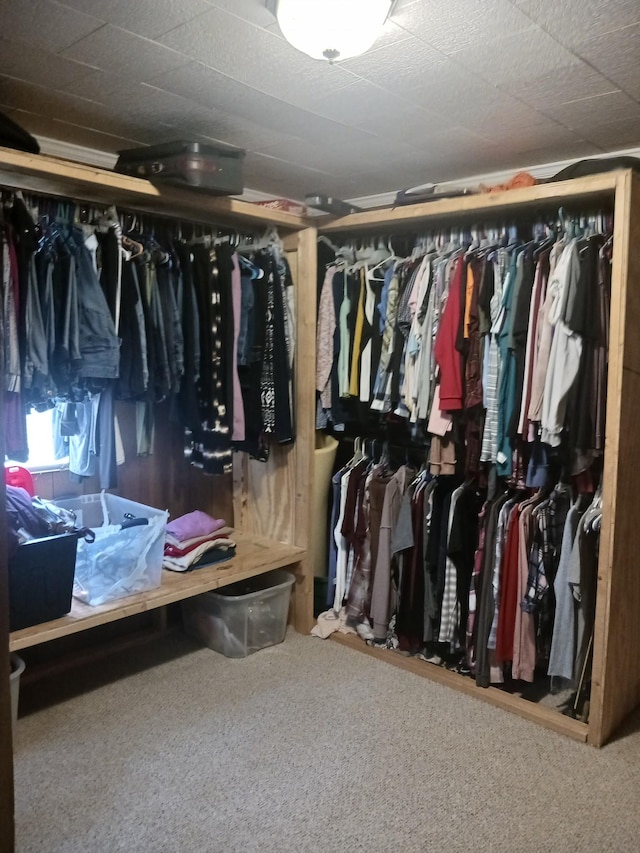 197 Stigall St, Camden, TN 38320 - walk in closet featuring carpet