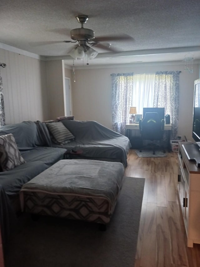 197 Stigall St, Camden, TN 38320 - bedroom with light wood-style floors, crown molding, a textured ceiling, and a ceiling fan