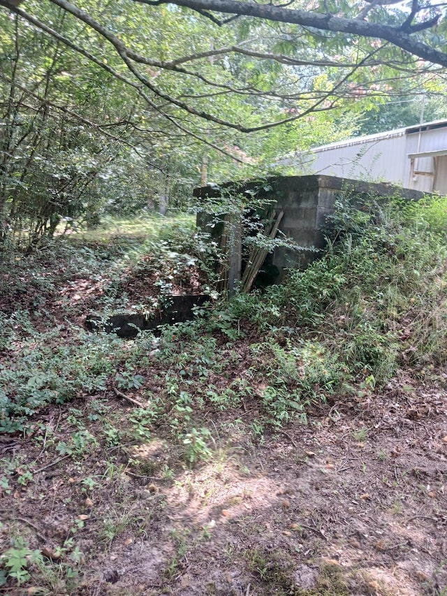 197 Stigall St, Camden, TN 38320 - view of yard featuring a wooded view