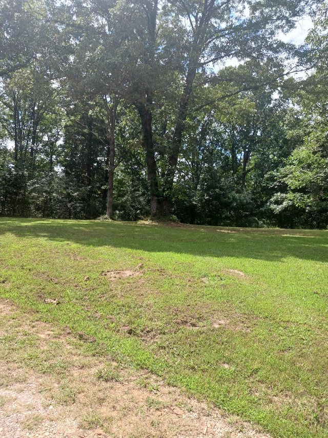 197 Stigall St, Camden, TN 38320 - view of grassy yard