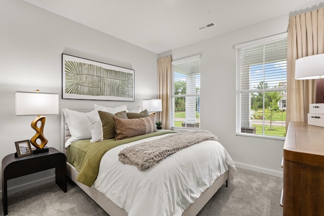 3412 Shigo St, Murfreesboro, TN 37130 - bedroom with carpet flooring and multiple windows