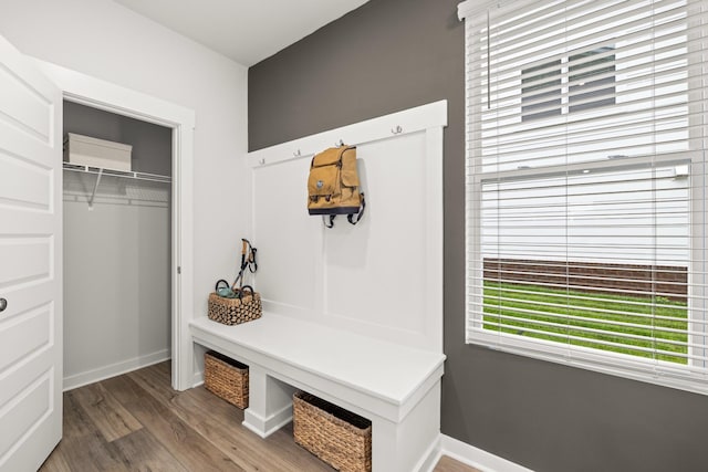 3412 Shigo St, Murfreesboro, TN 37130 - mudroom featuring healthy amount of natural light and wood finished floors