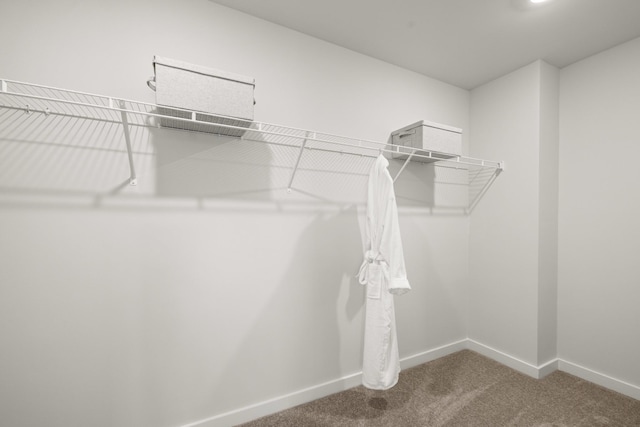 3412 Shigo St, Murfreesboro, TN 37130 - walk in closet with carpet floors