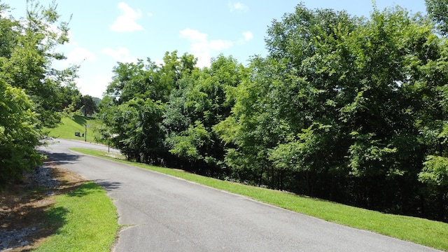 316 Highbridge, Smithville, TN 37166 - photo 4
