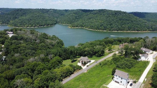 316 Highbridge, Smithville, TN 37166 - photo 1