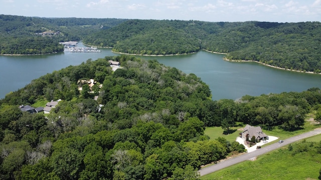 316 Highbridge, Smithville, TN 37166 - photo 6