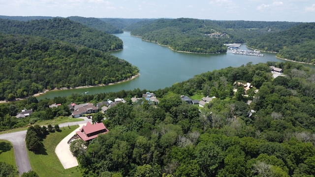 316 Highbridge, Smithville, TN 37166 - photo 5