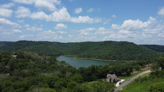 316 Highbridge, Smithville, TN 37166 - photo 3
