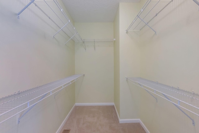 4009 Maggie Ct, Smyrna, TN 37167 - photo 25