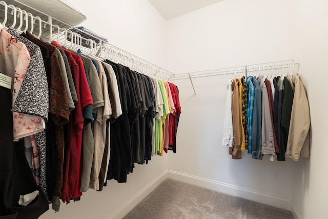 7156 Triple Crown Ln, Fairview, TN 37062 - spacious closet with carpet flooring