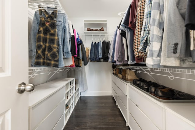 7156 Triple Crown Ln, Fairview, TN 37062 - spacious closet featuring dark wood-style floors