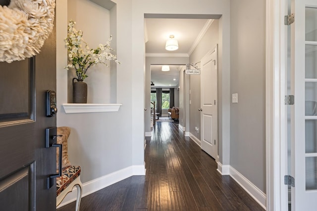 7156 Triple Crown Ln, Fairview, TN 37062 - hall featuring crown molding and dark wood-style flooring