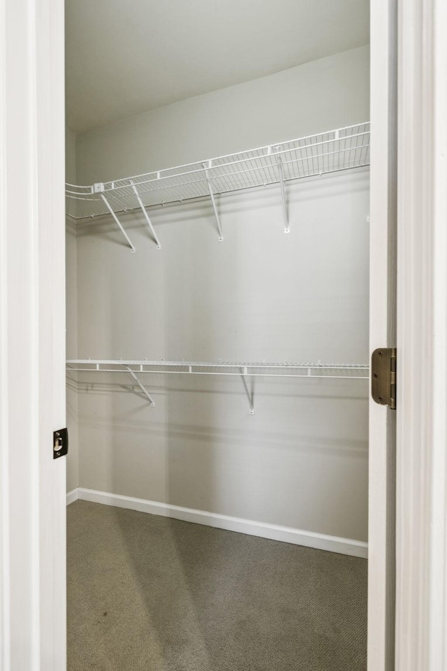 2414 Keegan Dr, Murfreesboro, TN 37130 - walk in closet with carpet flooring