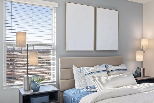 1243 Tucker Dr, Lebanon, TN 37087 - view of bedroom