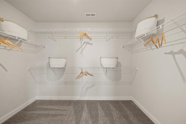 1243 Tucker Dr, Lebanon, TN 37087 - spacious closet with carpet floors