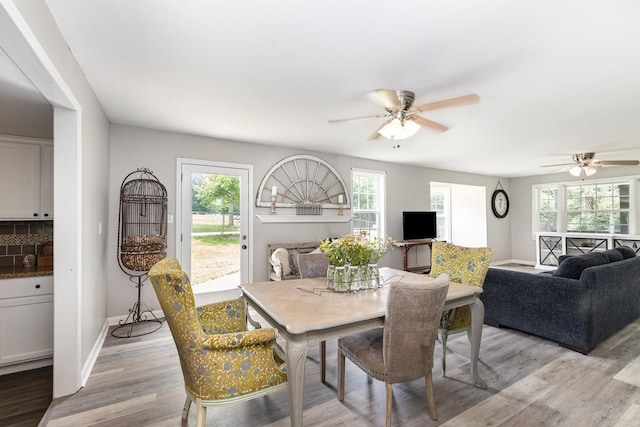 5519 Noble King Rd, Franklin, TN 37064 - dining space featuring a ceiling fan and light wood-style floors