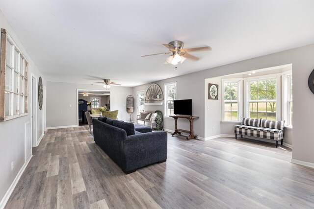 5519 Noble King Rd, Franklin, TN 37064 - living area with ceiling fan and wood finished floors