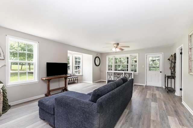 5519 Noble King Rd, Franklin, TN 37064 - living room featuring light wood finished floors and ceiling fan