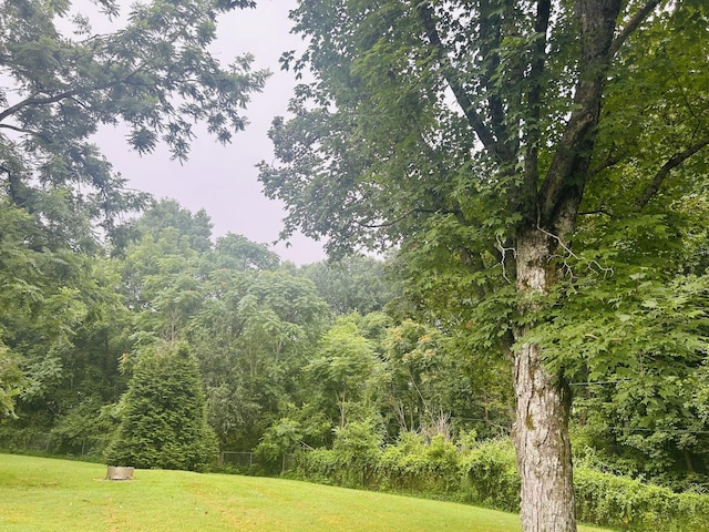 5519 Noble King Rd, Franklin, TN 37064 - view of grassy yard featuring a view of trees