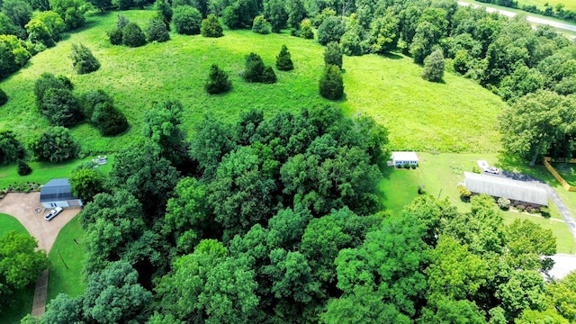 0 Hilltop Dr, Pulaski, TN 38478