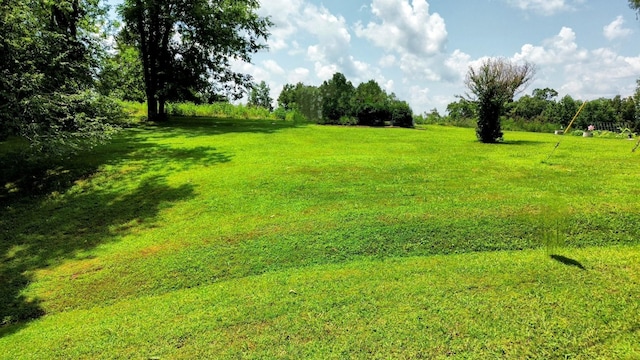 0 Hilltop Dr, Pulaski, TN 38478 - photo 6