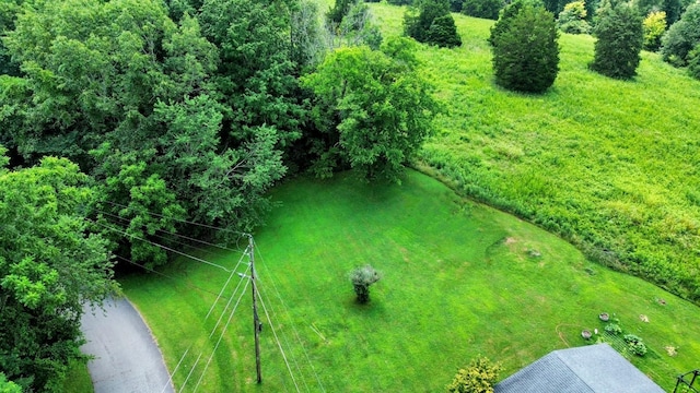 0 Hilltop Dr, Pulaski, TN 38478 - photo 2