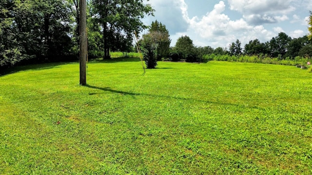 0 Hilltop Dr, Pulaski, TN 38478 - photo 5