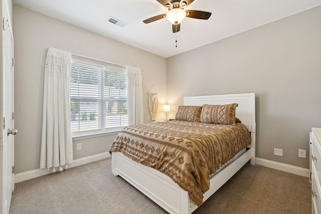 108 Auxley Ct, White House, TN 37188 - photo 24