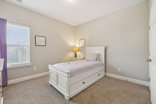 108 Auxley Ct, White House, TN 37188 - photo 27
