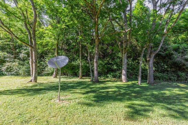 469 Hickory Glade Dr, Antioch, TN 37013 - photo 17