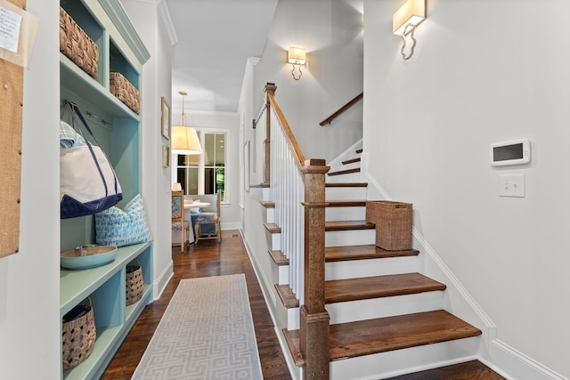 7318 Harlow Dr, College Grove, TN 37046 - staircase featuring wood finished floors and crown molding