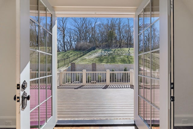391 The Lady Of The Lake Ln, Franklin, TN 37067 - view of entryway
