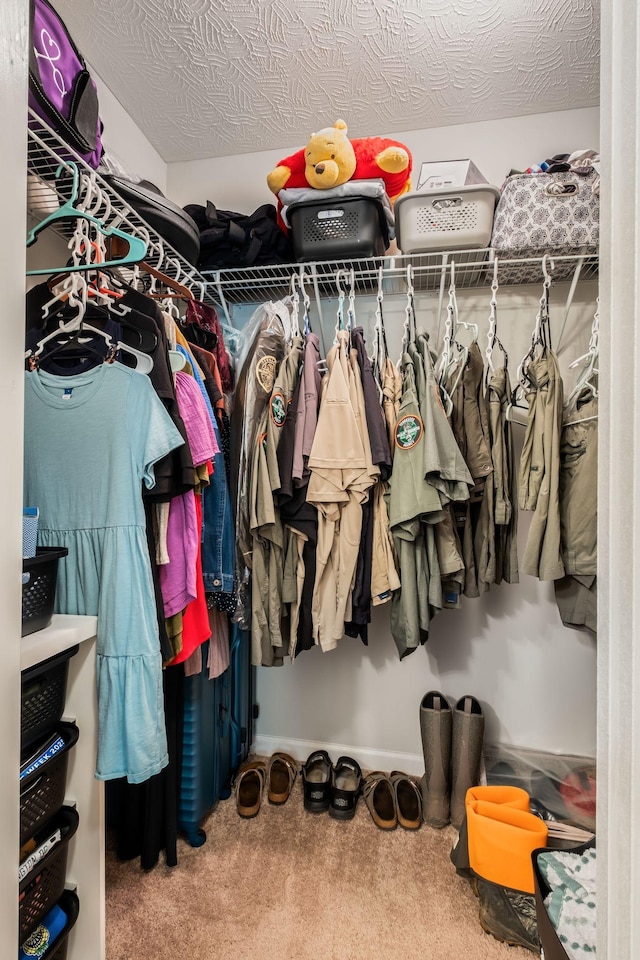183 Caydras Way, Lafayette, TN 37083 - spacious closet featuring carpet floors