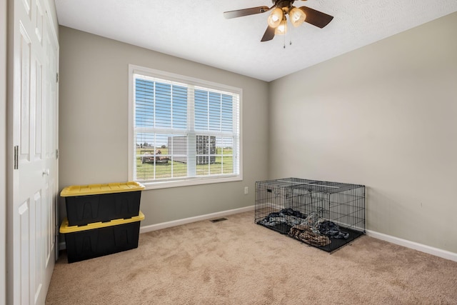 183 Caydras Way, Lafayette, TN 37083 - interior space featuring carpet flooring, a closet, and a ceiling fan