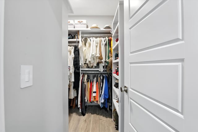 2135 Halfmoon Way, Murfreesboro, TN 37130 - walk in closet featuring wood finished floors